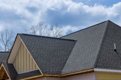 Specialized Roofing Services